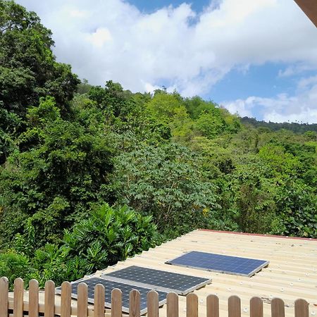 La Poulette Amazonienne Villa Riviere-Pilote ภายนอก รูปภาพ