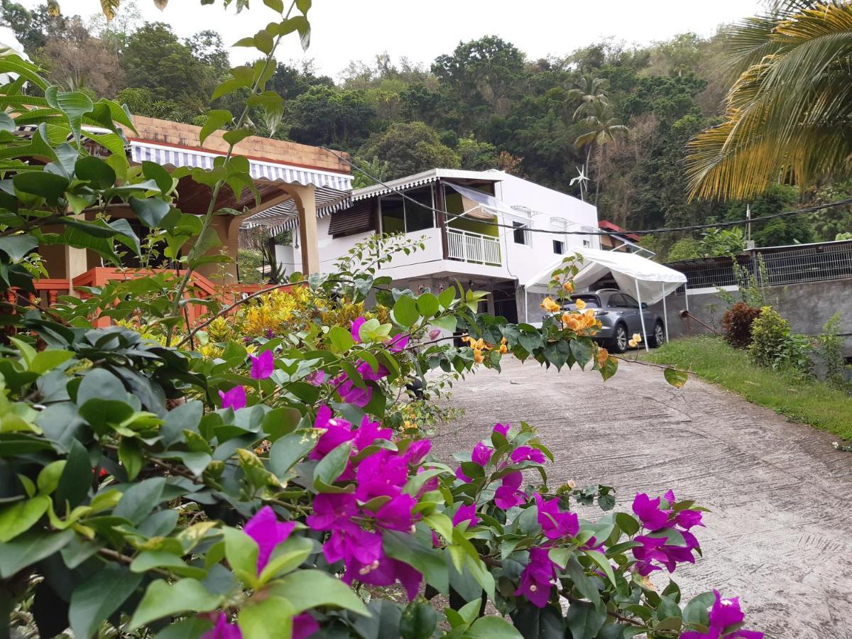 La Poulette Amazonienne Villa Riviere-Pilote ภายนอก รูปภาพ