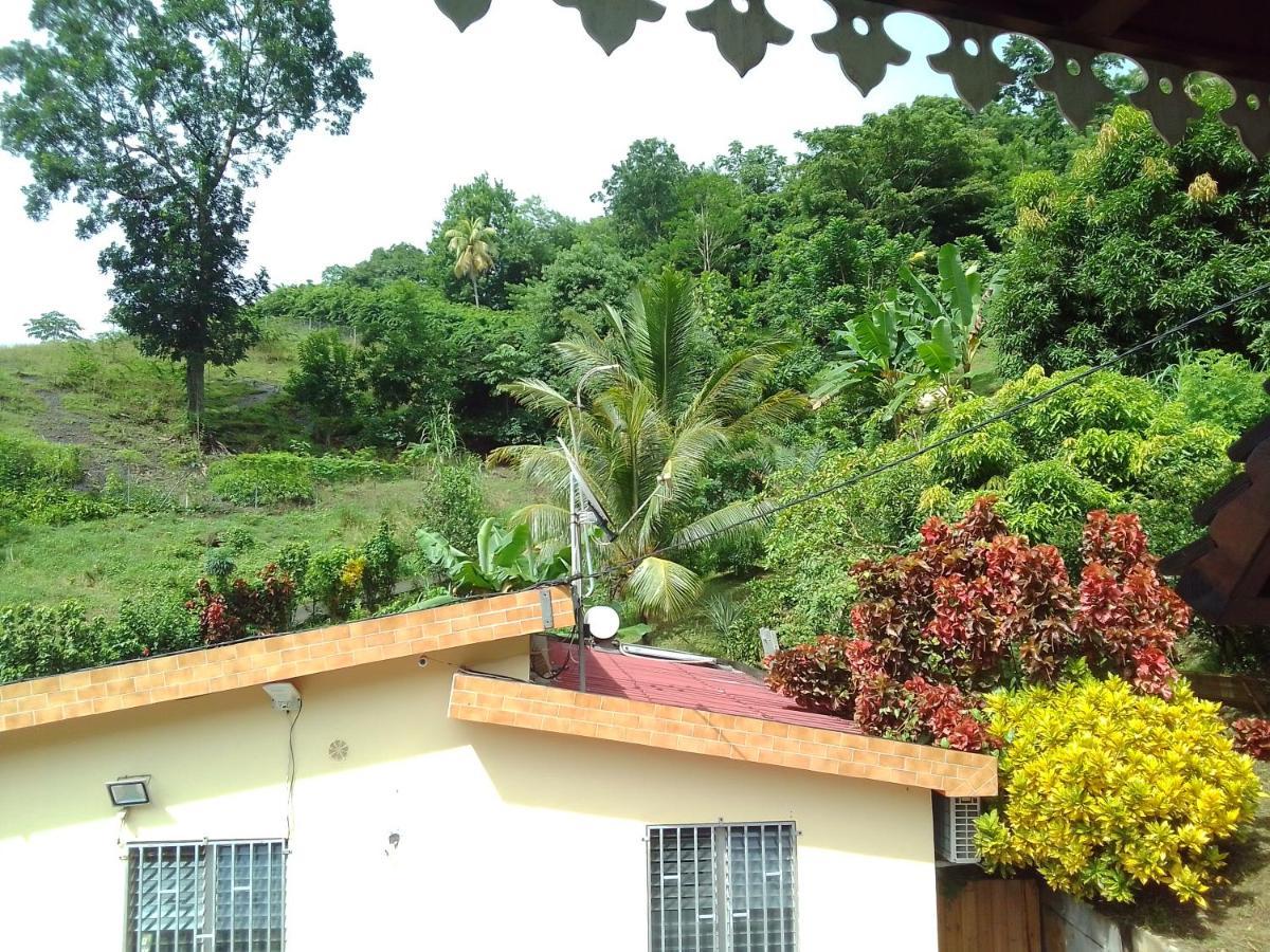 La Poulette Amazonienne Villa Riviere-Pilote ภายนอก รูปภาพ