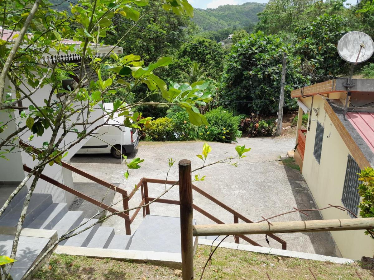 La Poulette Amazonienne Villa Riviere-Pilote ภายนอก รูปภาพ