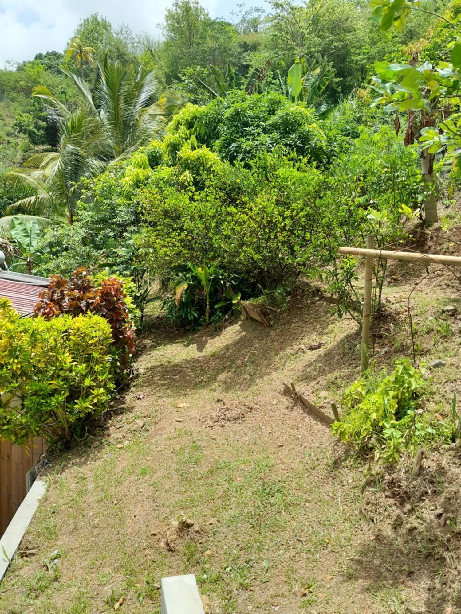 La Poulette Amazonienne Villa Riviere-Pilote ภายนอก รูปภาพ