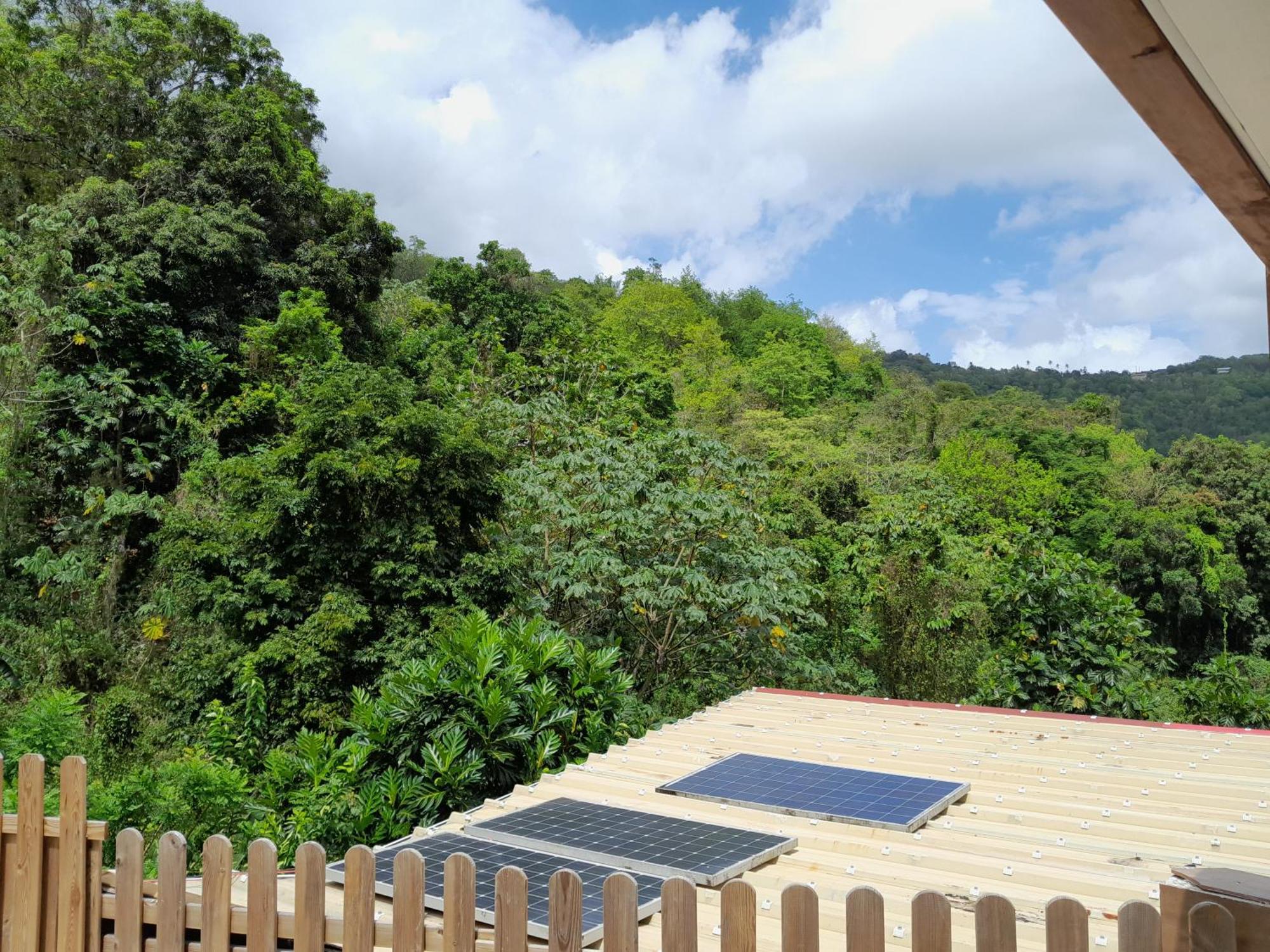 La Poulette Amazonienne Villa Riviere-Pilote ภายนอก รูปภาพ