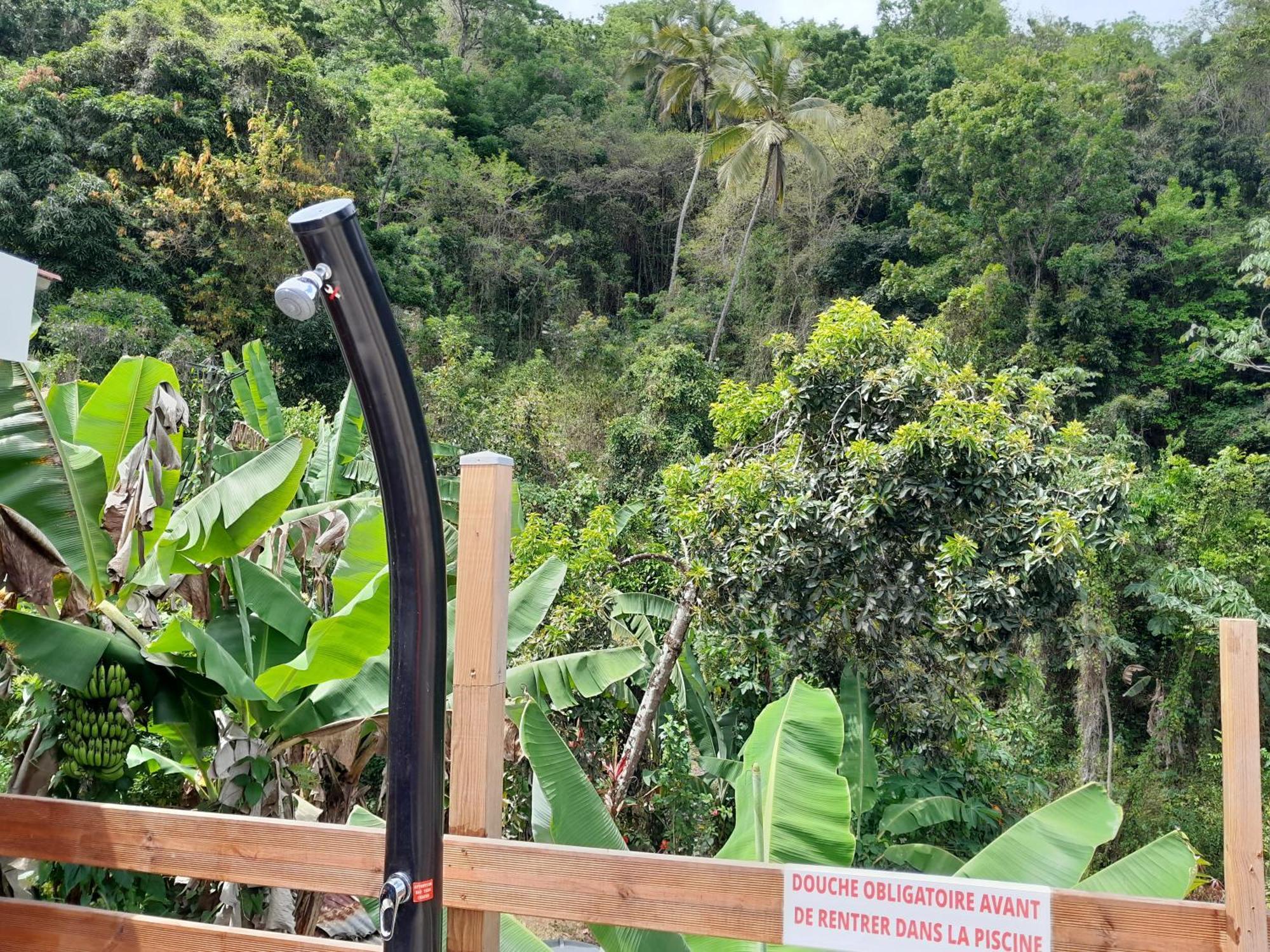 La Poulette Amazonienne Villa Riviere-Pilote ภายนอก รูปภาพ