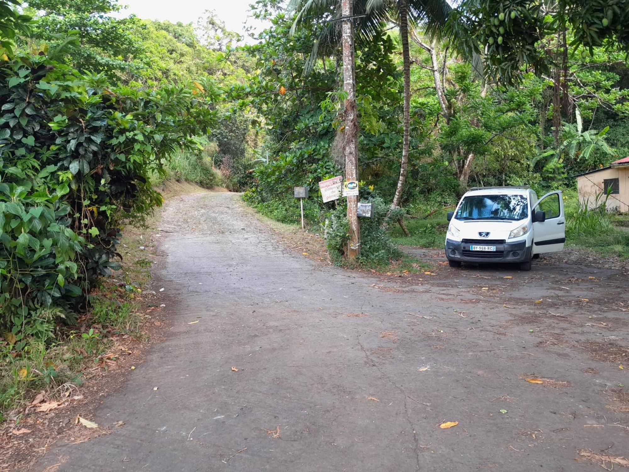 La Poulette Amazonienne Villa Riviere-Pilote ภายนอก รูปภาพ