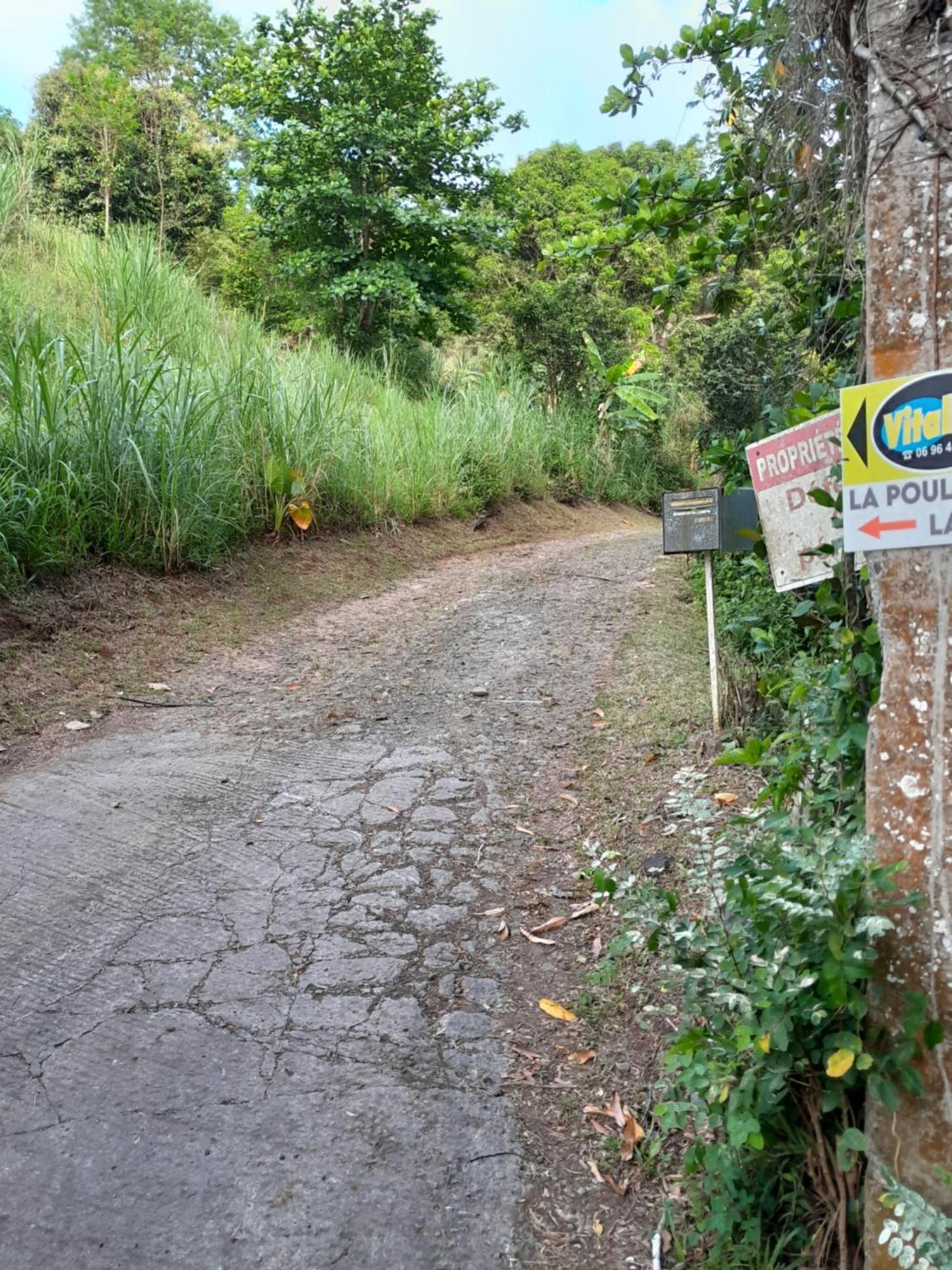La Poulette Amazonienne Villa Riviere-Pilote ภายนอก รูปภาพ